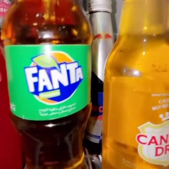 Une bouteille de Fanta à l'étiquette verte et une de Canada Dry dans le frigo